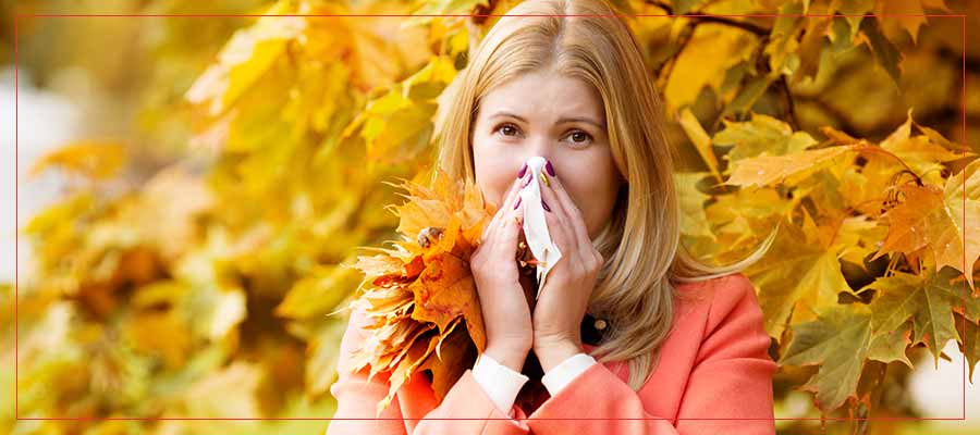 What to Know About the 2021–2022 Flu Season in Sarasota, FL What to Know About the 2021–2022 Flu Season in Sarasota, FL