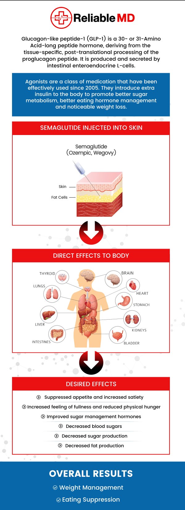 At Reliable MD, our experienced team of specialists will support you in your weight loss journey and provide you with the tools, resources, and treatments for long-term success. If you’re wondering if Semaglutide injections are the right option for you, or would like more information about our weight loss shots, contact us today or book an appointment online. We are conveniently located at 2801 Fruitville Rd Unit 140, Sarasota, FL 34237. At Reliable MD, our experienced team of specialists will support you in your weight loss journey and provide you with the tools, resources, and treatments for long-term success. If you’re wondering if Semaglutide injections are the right option for you, or would like more information about our weight loss shots, contact us today or book an appointment online. We are conveniently located at 2801 Fruitville Rd Unit 140, Sarasota, FL 34237.